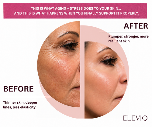 Korean Collagen Moisturizing Stick and Lip Balm